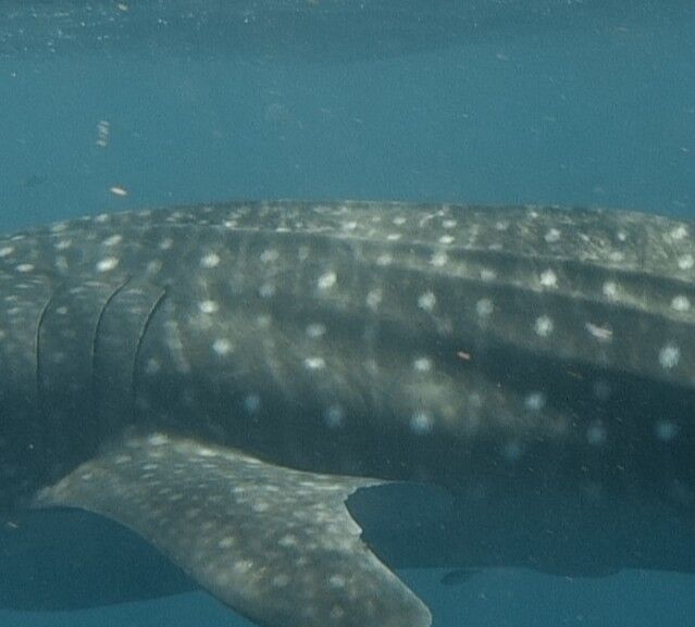 f40101dc-72c0-4c3f-8476-259a137f4e2c