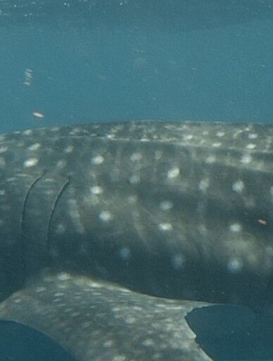 f40101dc-72c0-4c3f-8476-259a137f4e2c