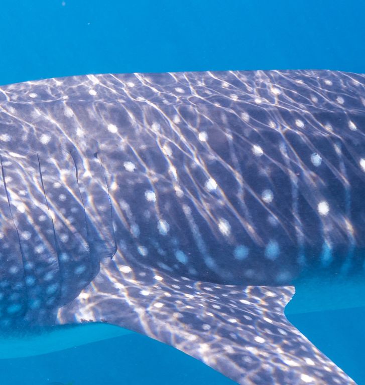 6ce0701b-6a77-442d-8735-565f6e5d2c30