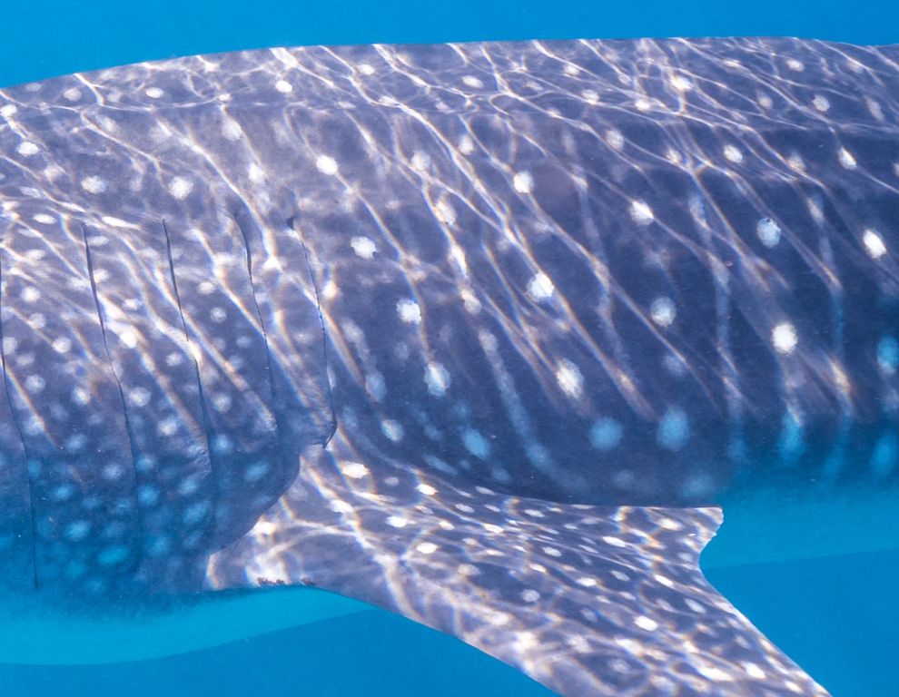 6ce0701b-6a77-442d-8735-565f6e5d2c30