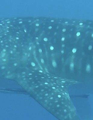 e200a963-999c-4edb-8149-33377c2c6ff8