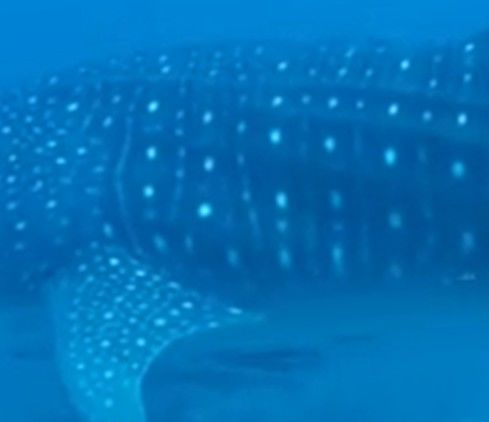 d0aeab39-dadc-4f7c-95ef-7a623651bdfe