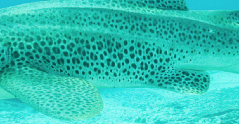 11ac9c92-9de2-450e-ae41-5c5e0ba7c702