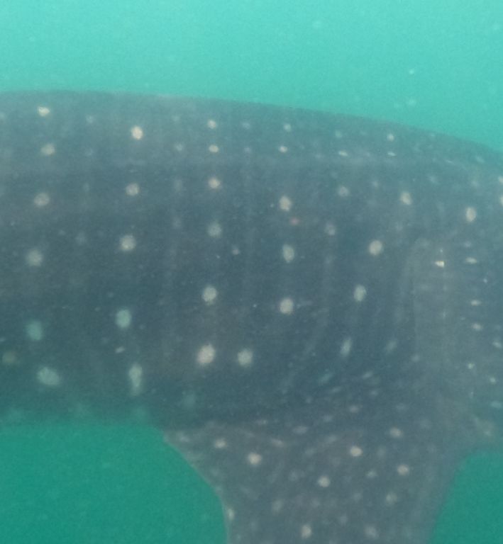 ccf6e155-c3f0-4b38-a668-95d13a140d12