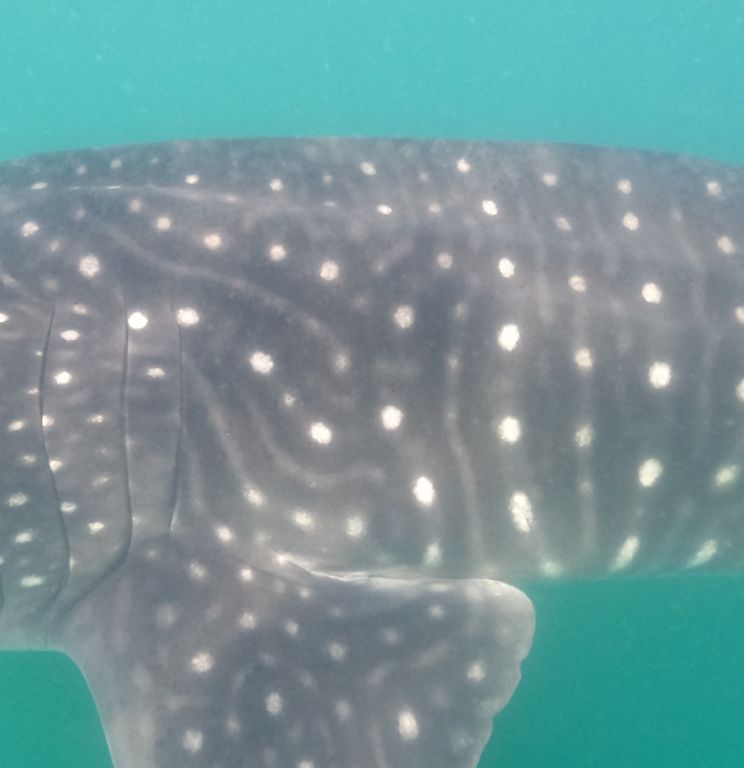 ccf6e155-c3f0-4b38-a668-95d13a140d12