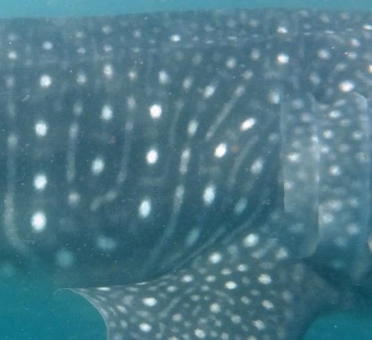 95b89793-d652-4598-9d6b-b301ed1a2a6f