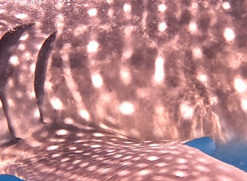 ac3221b1-5a70-41bd-912a-b0ac1846f522