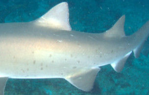 6ab547fe-e604-4b98-955c-b9f541035b35