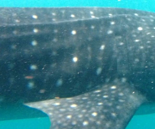 7128b96f-cc92-4f59-a6b4-47ed36b0f43f