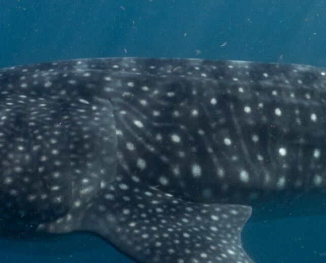 92138322-2f5d-437c-a803-f2b986402d04