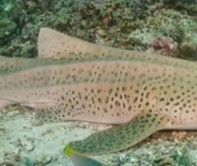 a7de2f7a-15ab-4f2d-8897-47a139a3e02d