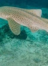 a7de2f7a-15ab-4f2d-8897-47a139a3e02d