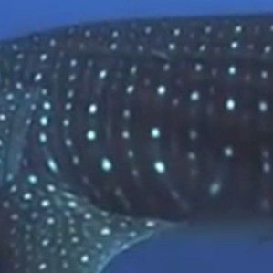 ebb43ae4-21dc-43a7-ab89-6c27c4d10a4e