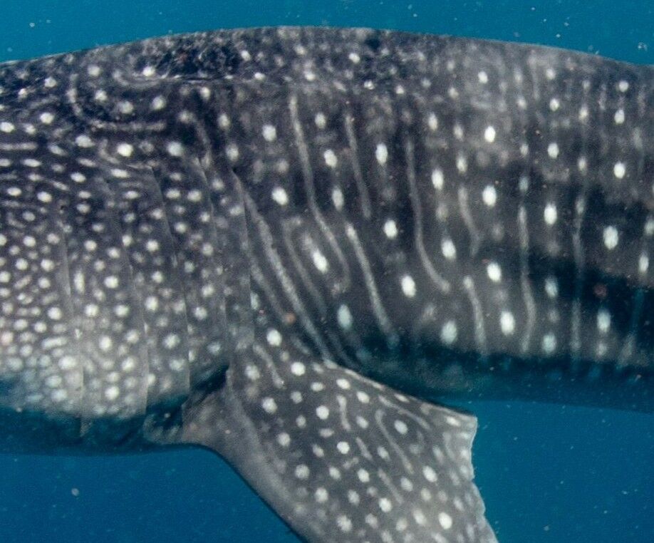 e6edd8ef-7d52-40de-9f1c-c7e1710f7aea