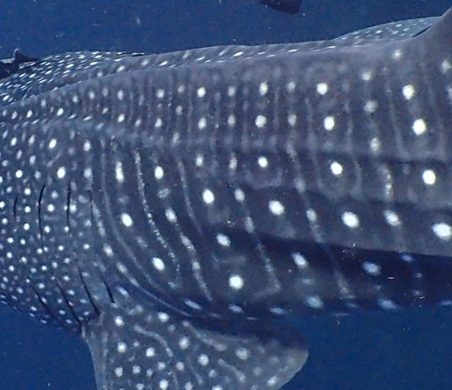 88bd96c0-b56b-41df-801c-dd872e1a447b