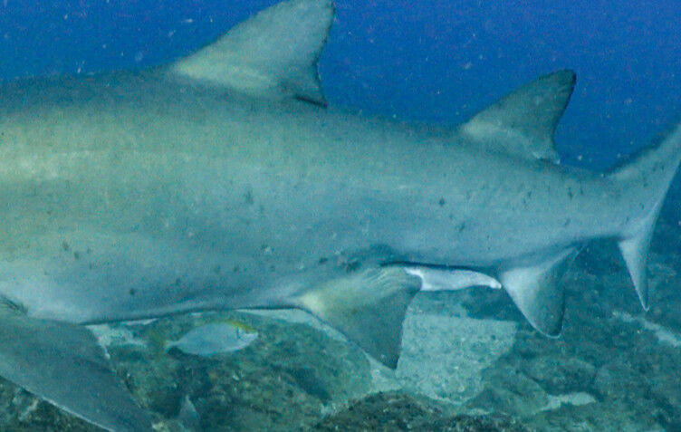 e082b8f3-2b54-497a-aaf9-874f0c4956e7