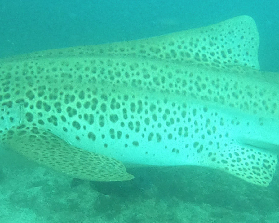 14ae8c53-5463-44e0-b19c-18c470b0dc3f