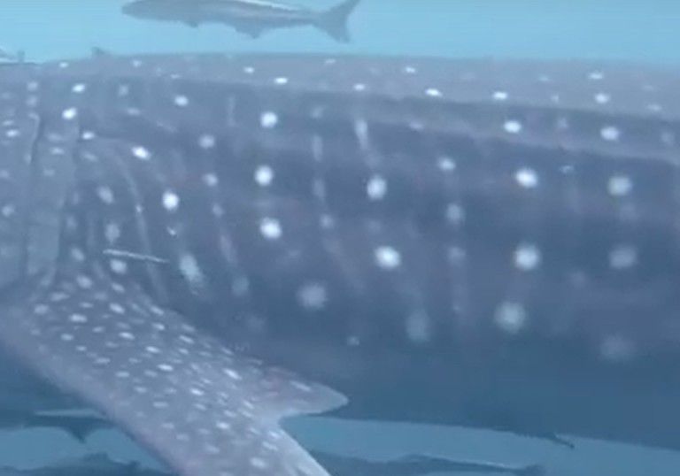 d9f175b9-ee8d-4e9b-b098-c7d7823576a0