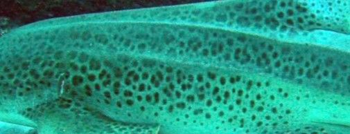 40cbee2a-a4ed-4fa5-aaf4-2375cf2b2c04