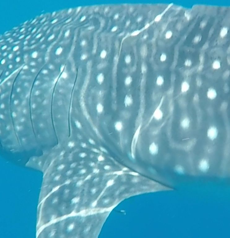 56038a9b-33dd-45fb-9697-59feaab8ccbf