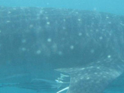 6020927e-ab43-4f39-87c4-d15f9e4b2f8f