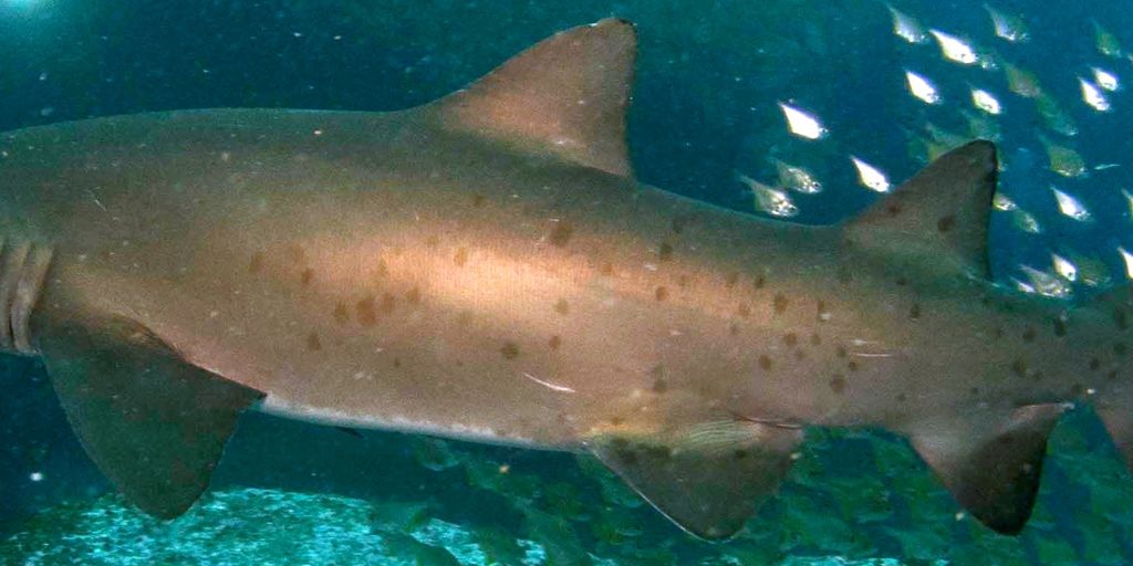 8b1dc38e-e302-4e56-b7a3-ce4a327e7d63