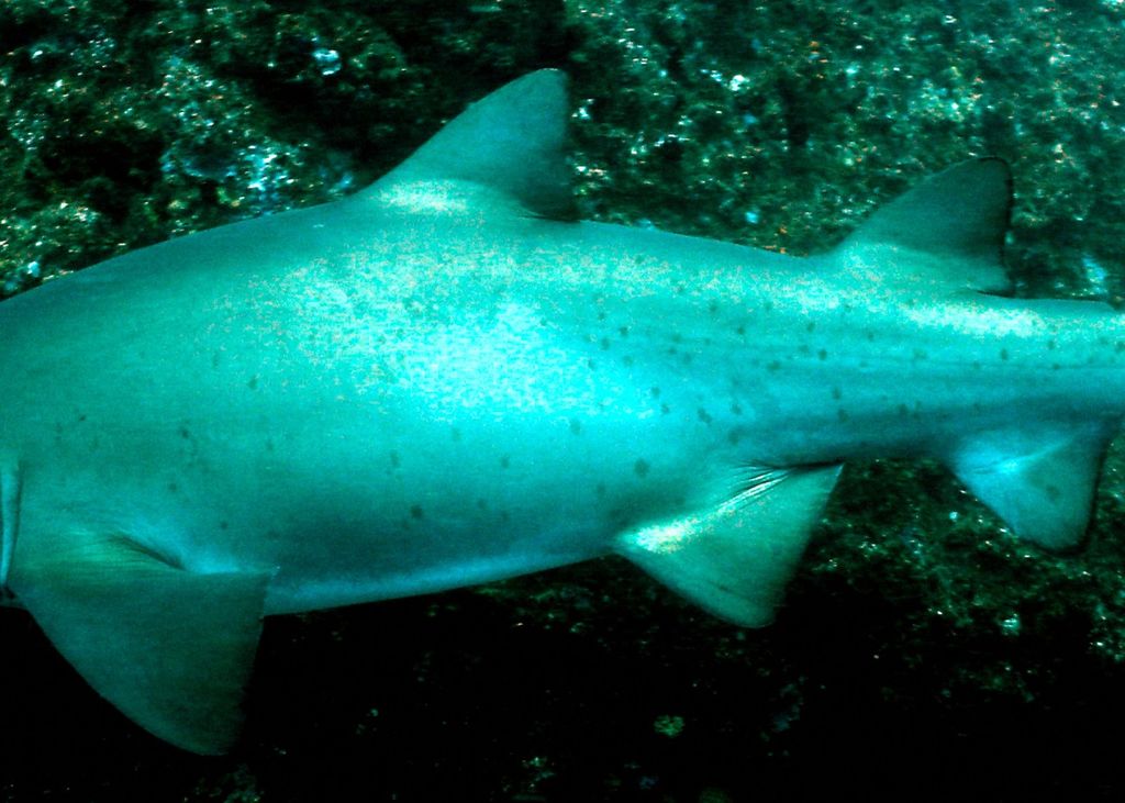 56d10b70-80d9-47a0-b1cc-a0da11a07172