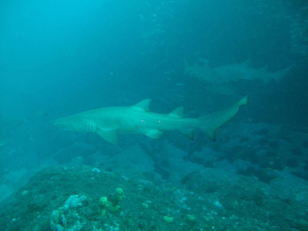 4de4321f-0f01-4cc7-bdb8-6e445b23c4f9