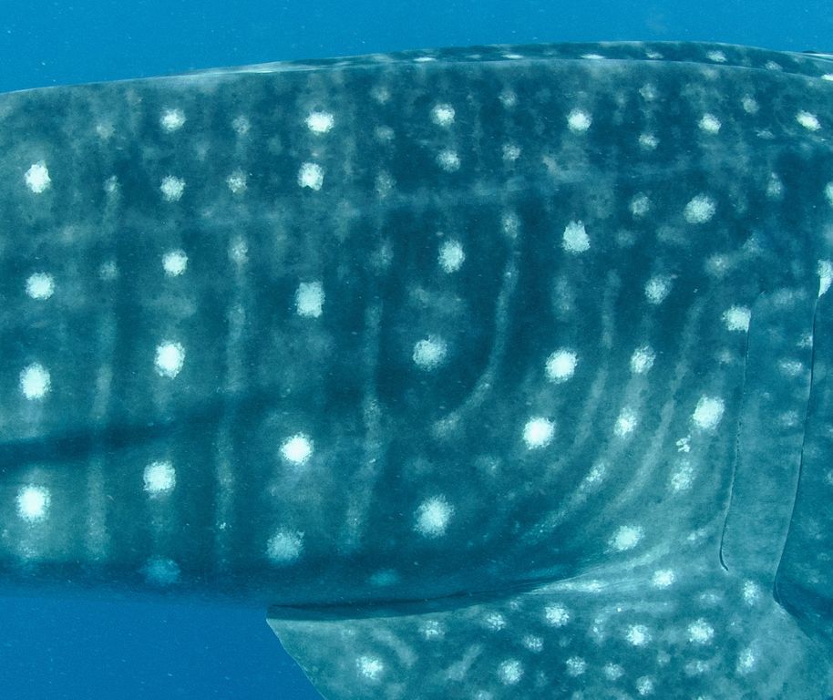 c8407b31-7a1f-4876-876c-88d11a1e82c9