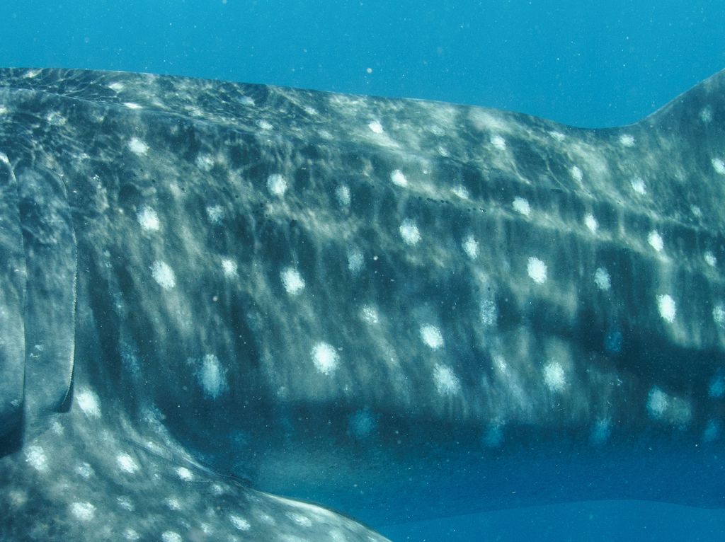 c8407b31-7a1f-4876-876c-88d11a1e82c9