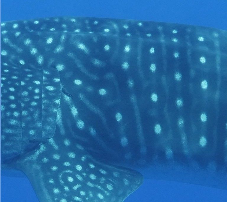 7344d7a0-8df7-4da5-a4eb-5da797e90b5b