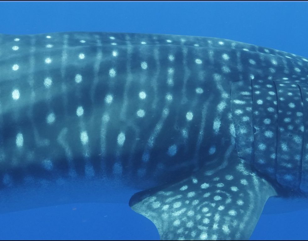 7344d7a0-8df7-4da5-a4eb-5da797e90b5b