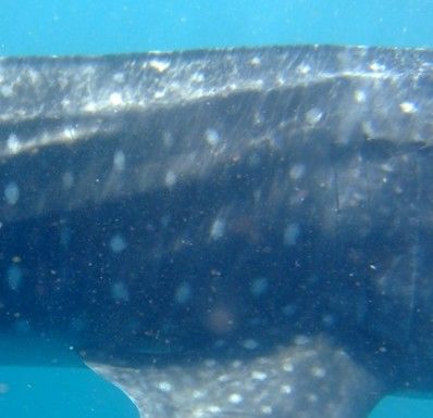 22f86a84-af08-4a59-9479-27e3ad89041a