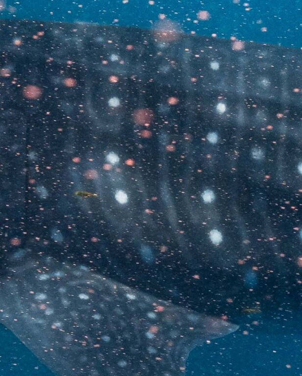 059c88d4-56d4-404e-a2eb-90083cbfa220