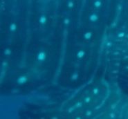 f54a94f0-a84e-4dfc-af32-ea450a83810b