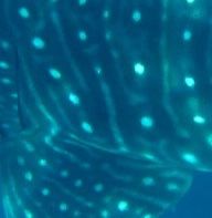 f54a94f0-a84e-4dfc-af32-ea450a83810b