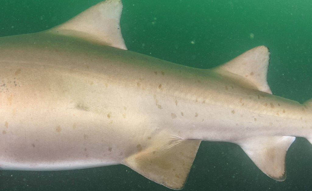 fa285150-2bb9-4bec-a5ca-ee96e5f83138