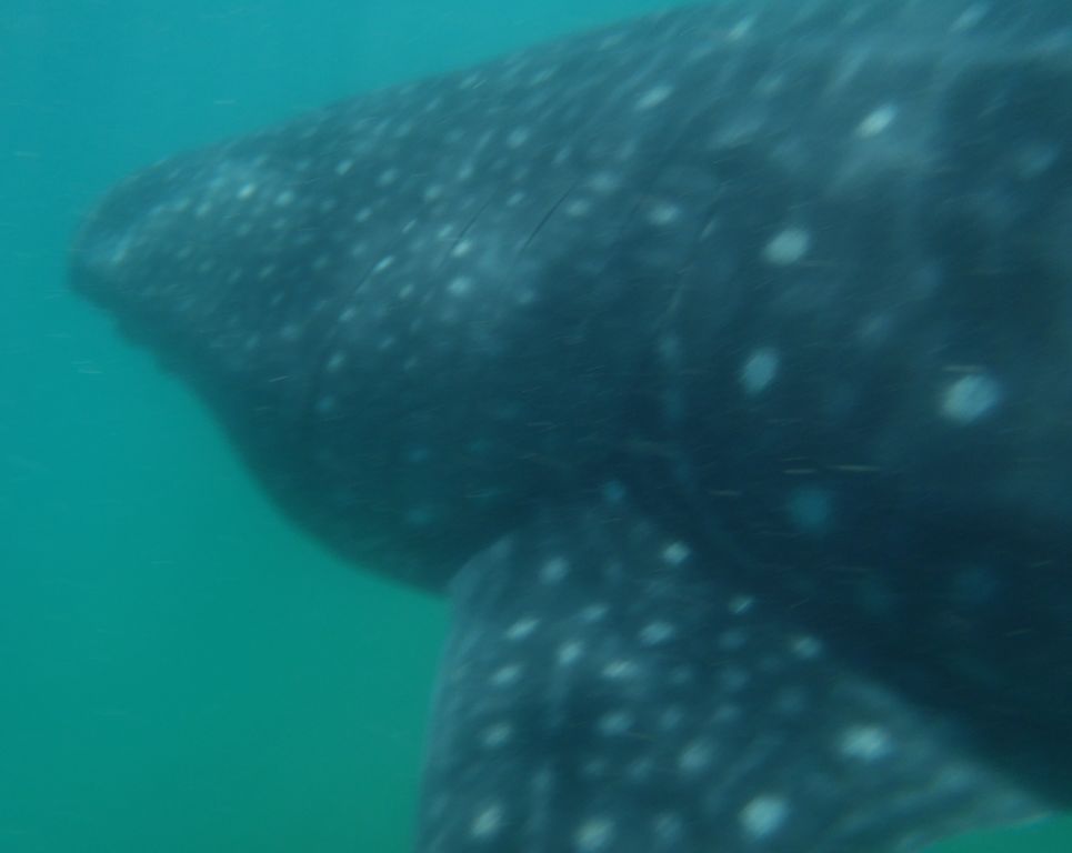 ab3b5b14-d3e5-45be-b9ac-d25449d99d5b