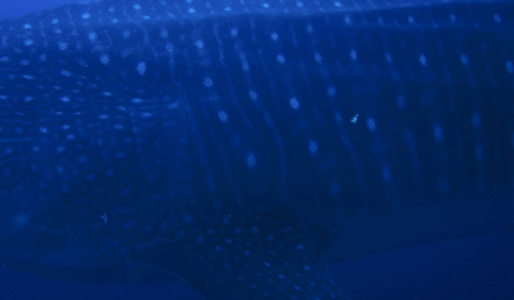 be9c4675-572c-4871-a496-1af7f426fe00