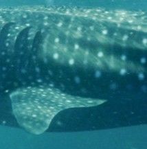 6bdbcf3a-25d5-4b9d-bac8-5aa0dffb7c6a