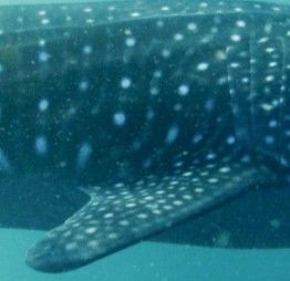 6bdbcf3a-25d5-4b9d-bac8-5aa0dffb7c6a