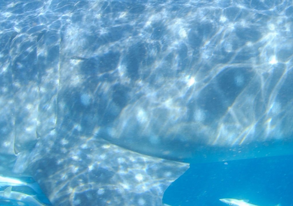 3e340e56-5596-4fba-a0d3-322692fcdc54