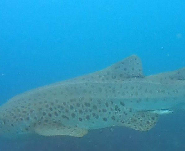 b81a47cb-bd61-4007-a15b-222ea21cd25a