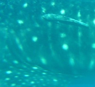 b9a20c7d-4aba-42ee-aca3-df640a9ff8cd