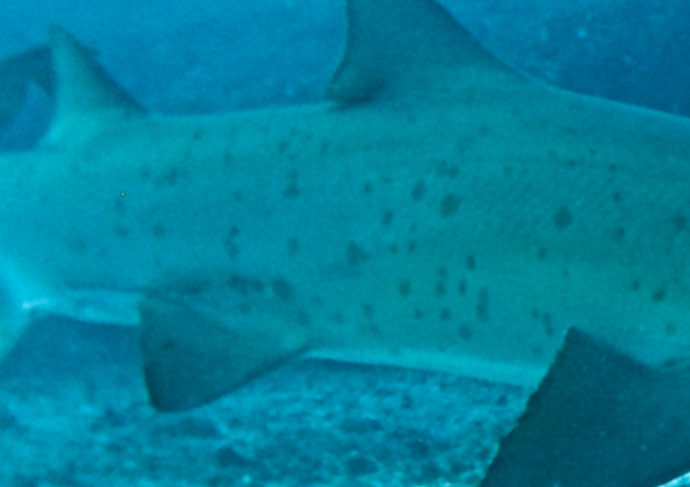 dcc030f8-1dc5-4401-b14b-ee392eb4ca5c