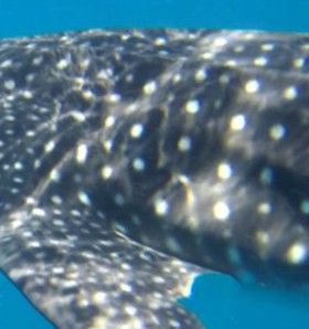 1c835d32-91a9-4af3-adc4-8ad890c2712f