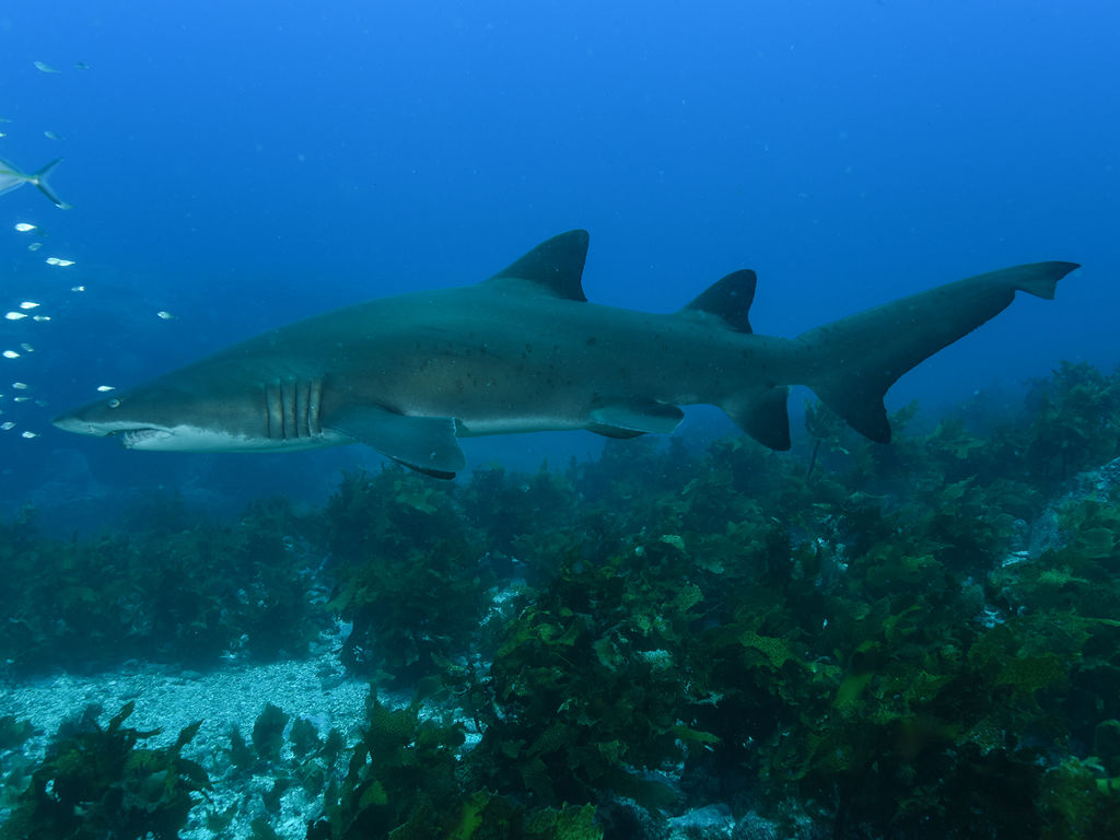 6b173300-0566-4dcd-9607-578a976ad350