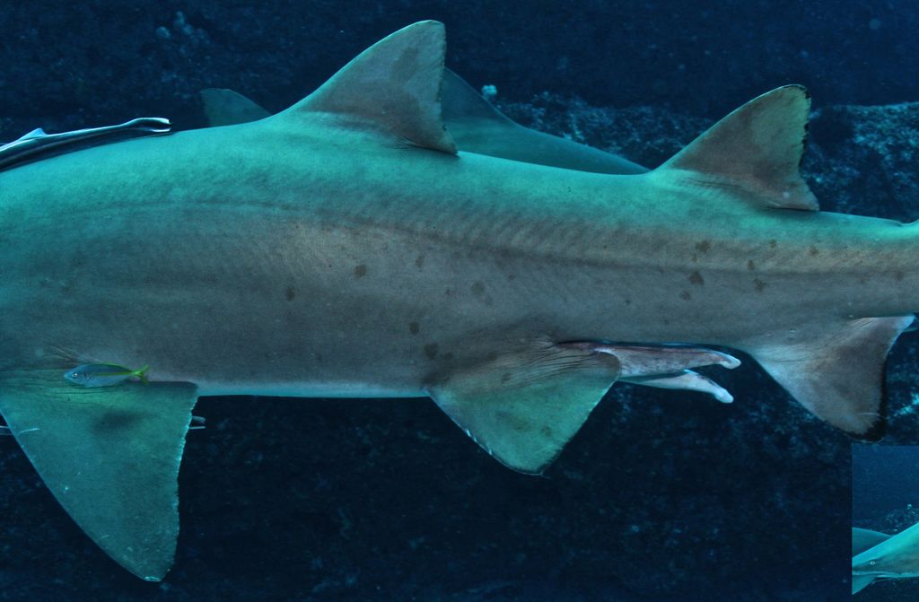 2d9611f3-baf4-40ed-9711-3ce45006ccba