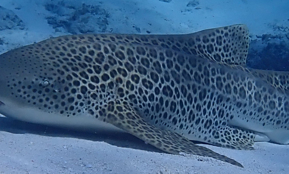 dde74bf2-9a5a-4f0a-a8ed-9eb383f445e4