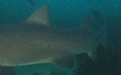 bd586eaf-e3a6-4f07-a372-6f8804183438